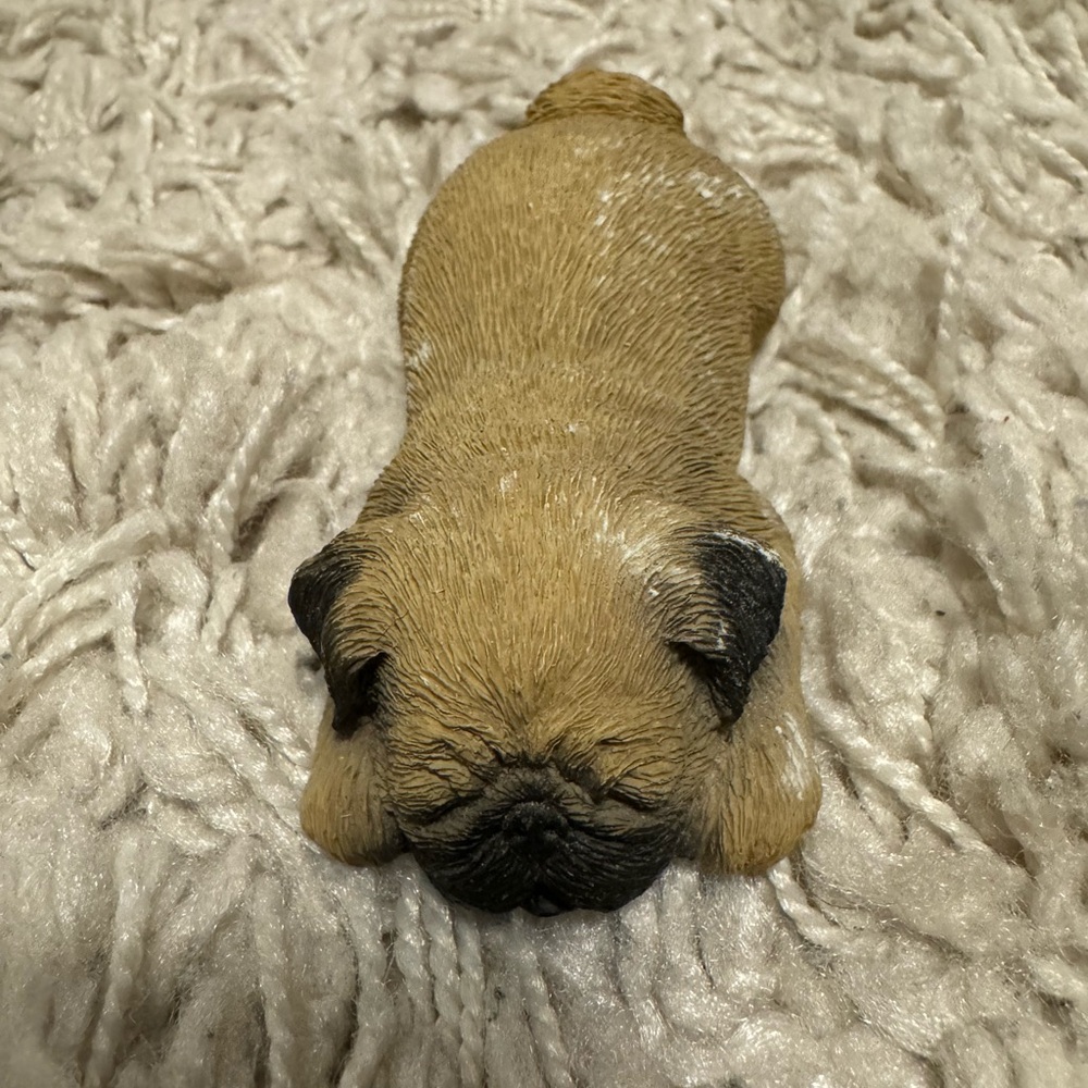 Sandicast Pug, fawn snoring